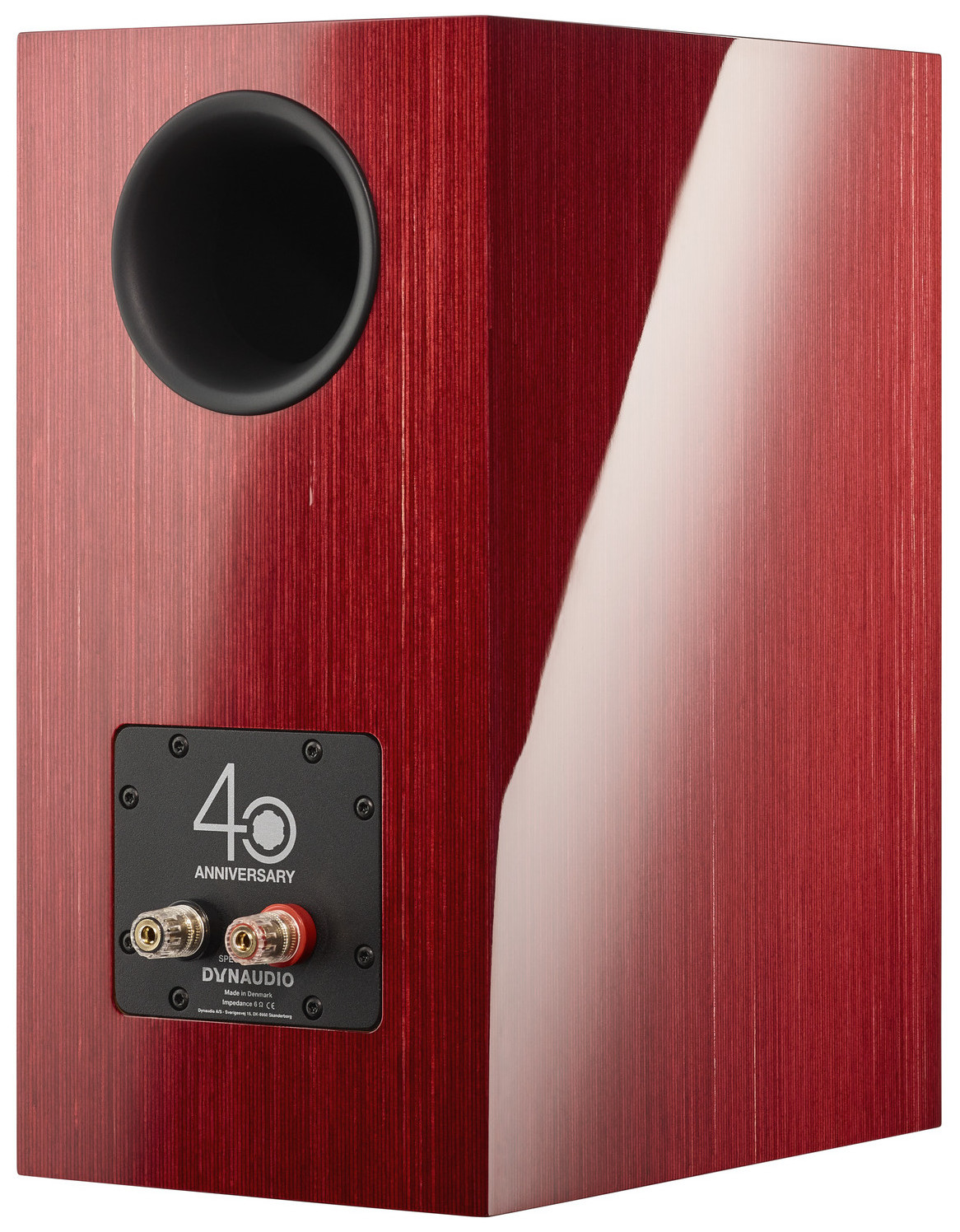 Auditorium Dynaudio Special Forty  283187 - 5