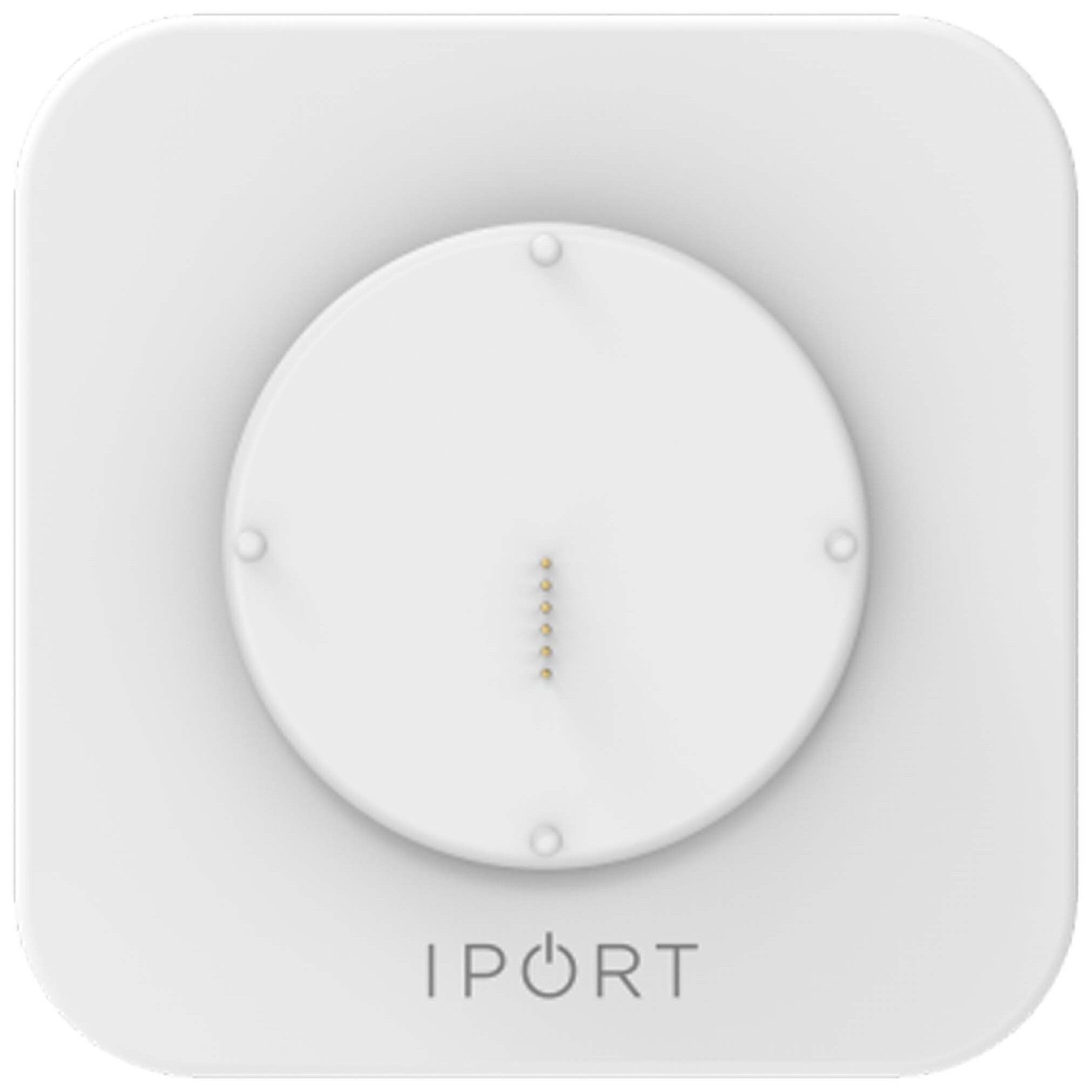 Auditorium iPort Connect Pro Wandstation 294586 - 1