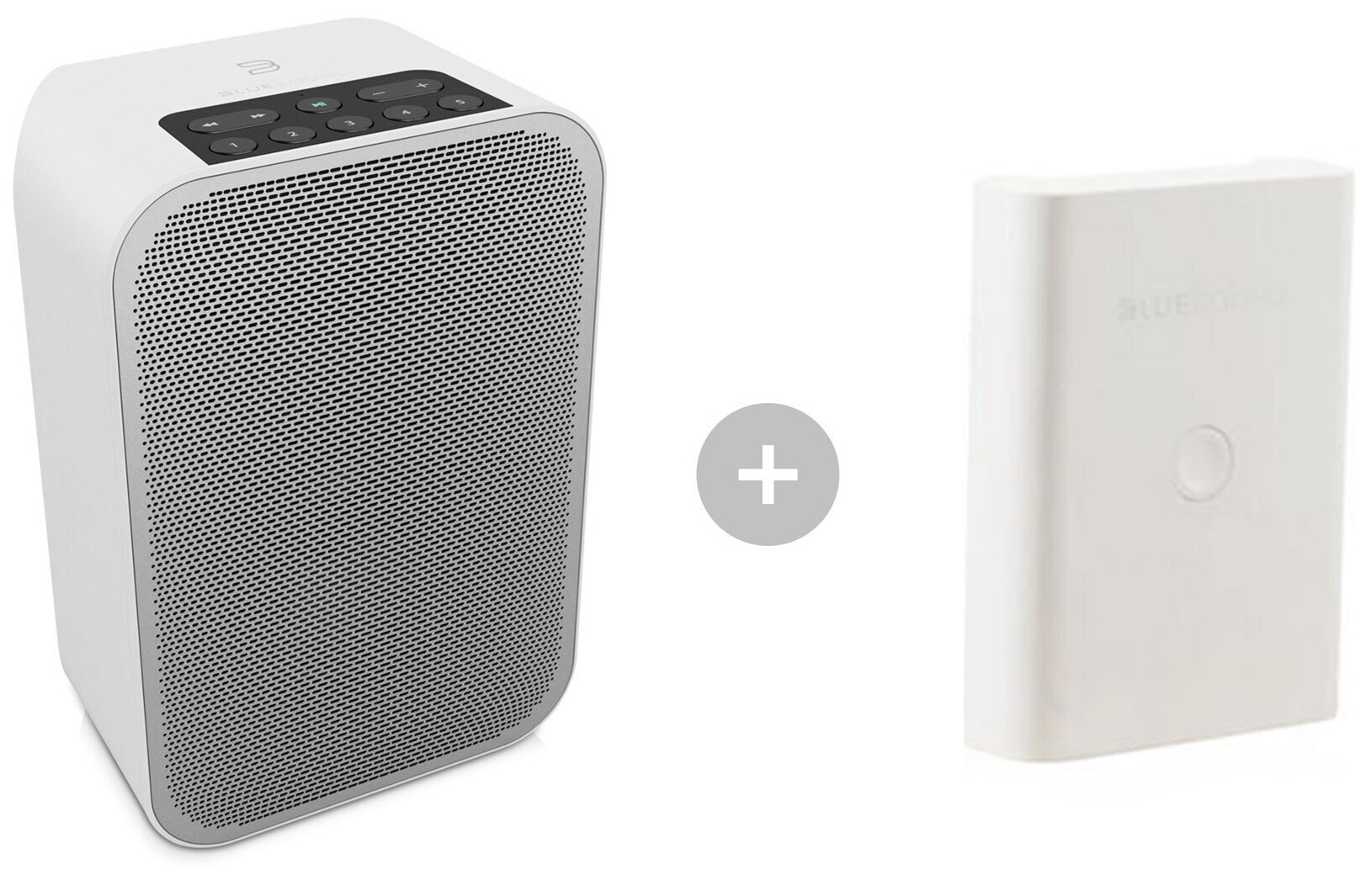Auditorium BlueSound Pulse Flex 2i und BP100 Streaming-Bundle 295212 - 1