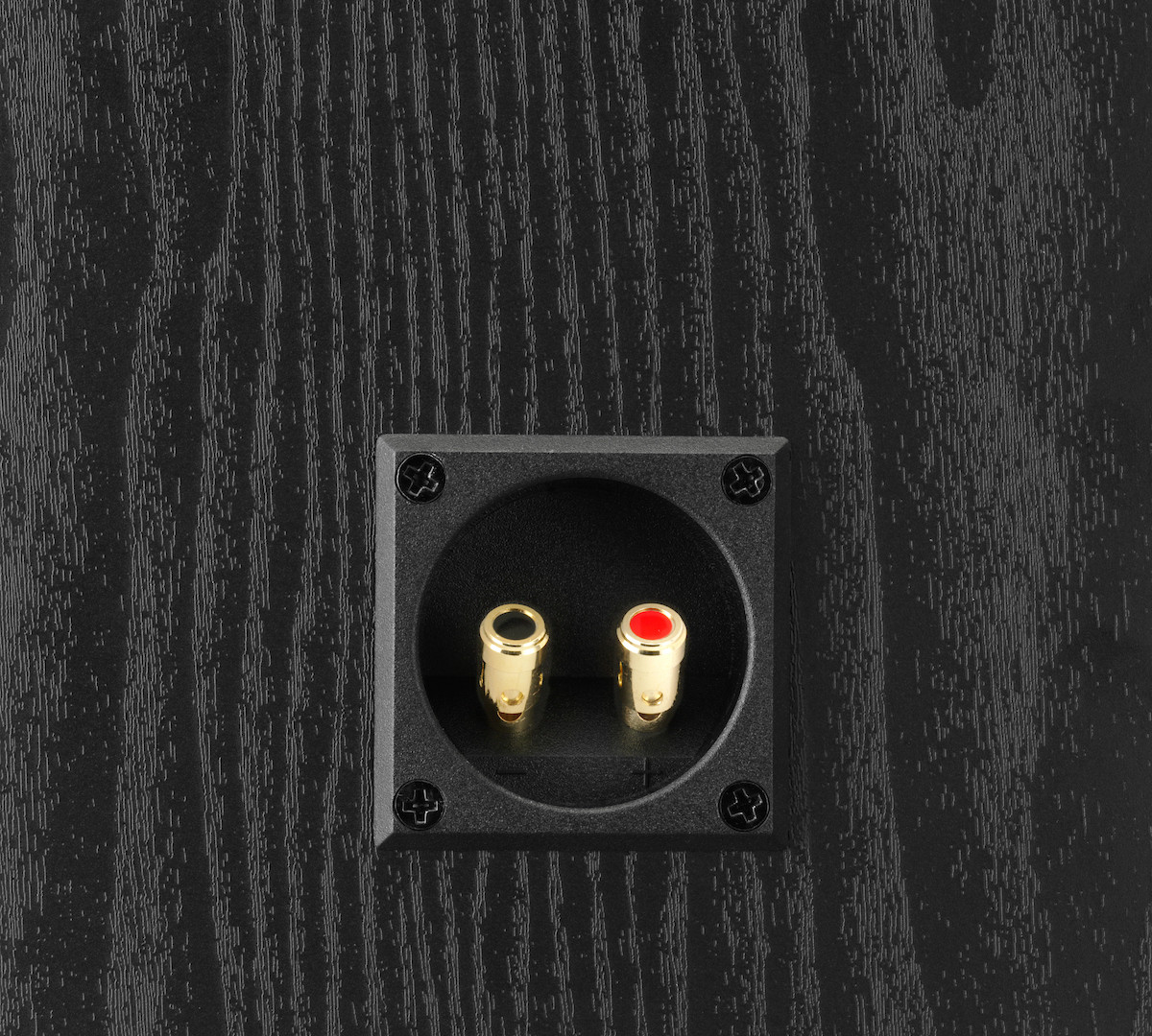 Auditorium Dali Alteco C-1 Kompaktlautsprecher 282135 - 2