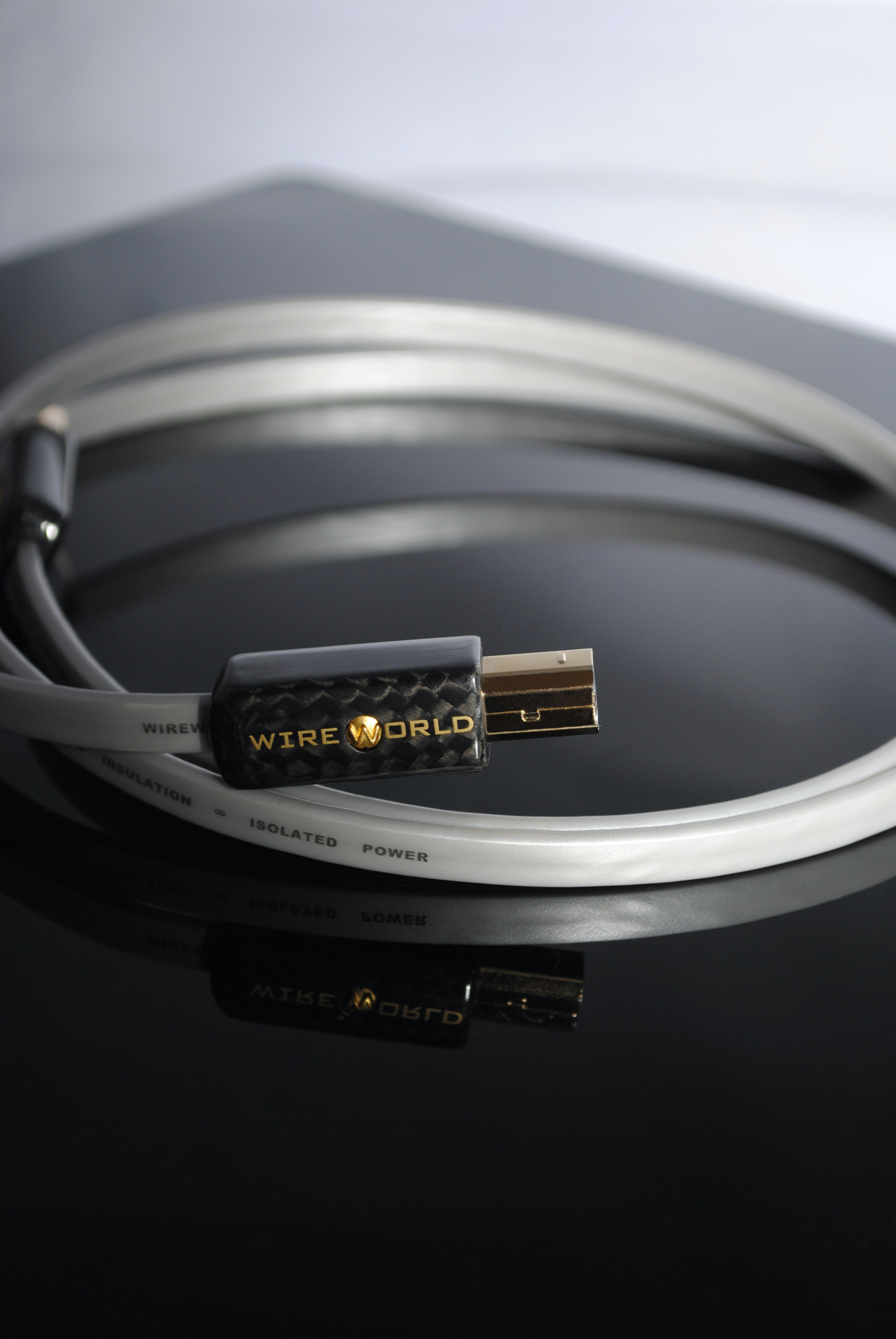 Auditorium Wireworld Cable Platinum Starlight 8 USB 2.0 A auf B 209163 - 6