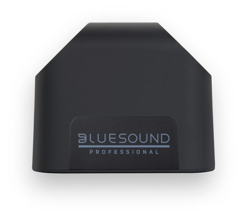 Auditorium BlueSound BSP 200 PoE Netzwerk Lautsprecher 298204 - 2