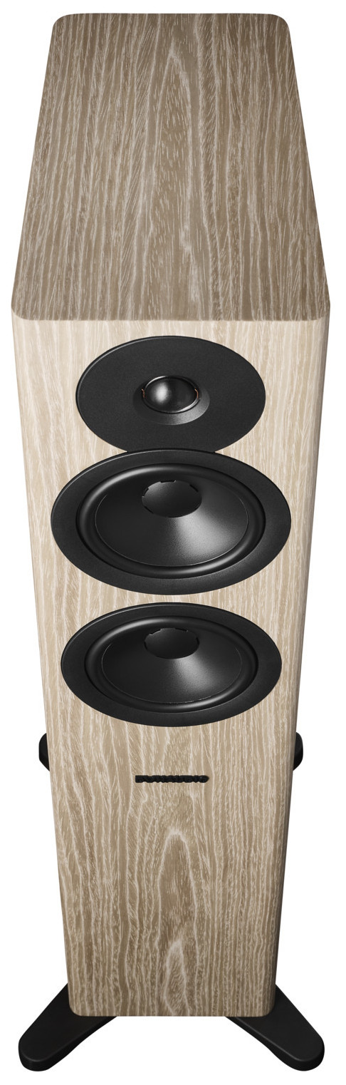 Auditorium Dynaudio Evoke 30  285463 - 4