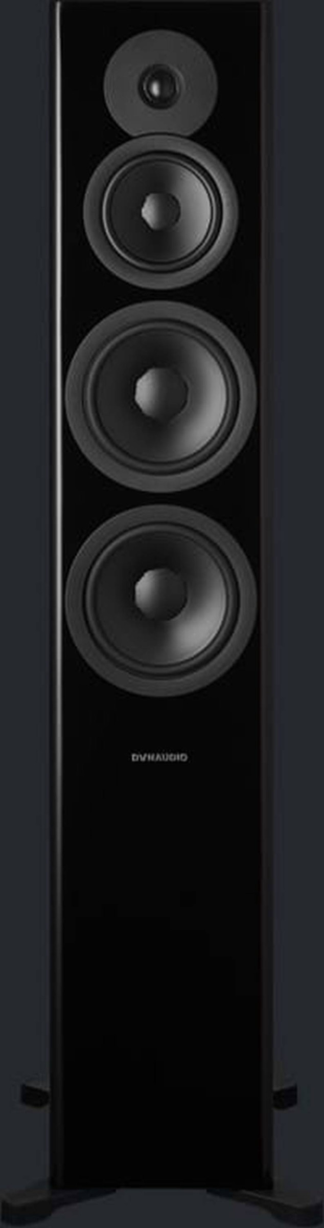 Auditorium Dynaudio Evoke 50  285464 - 1