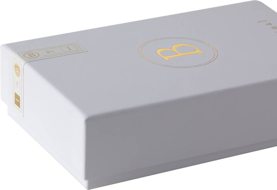 Auditorium Final B1 In Ear Kopfhörer 293358 - 4