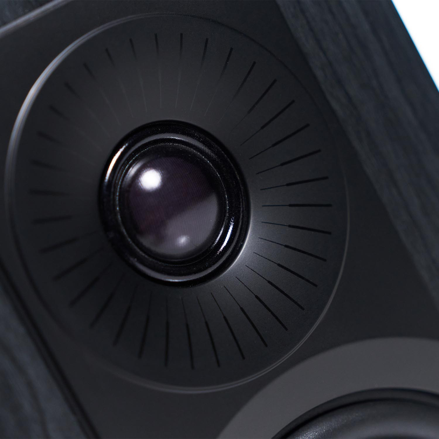 Auditorium Dali Kupid Kompaktlautsprecher  213182 - 5 Auditorium Dali Kupid Kompaktlautsprecher  213182 - 5