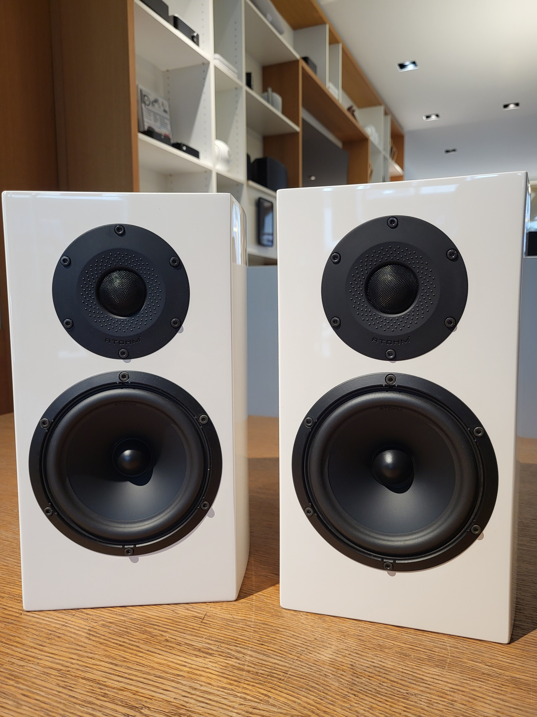 Auditorium Diverse Atohm GT1 Kompaktlautsprecher 210011 - 1 Auditorium Diverse Atohm GT1 Kompaktlautsprecher 210011 - 1