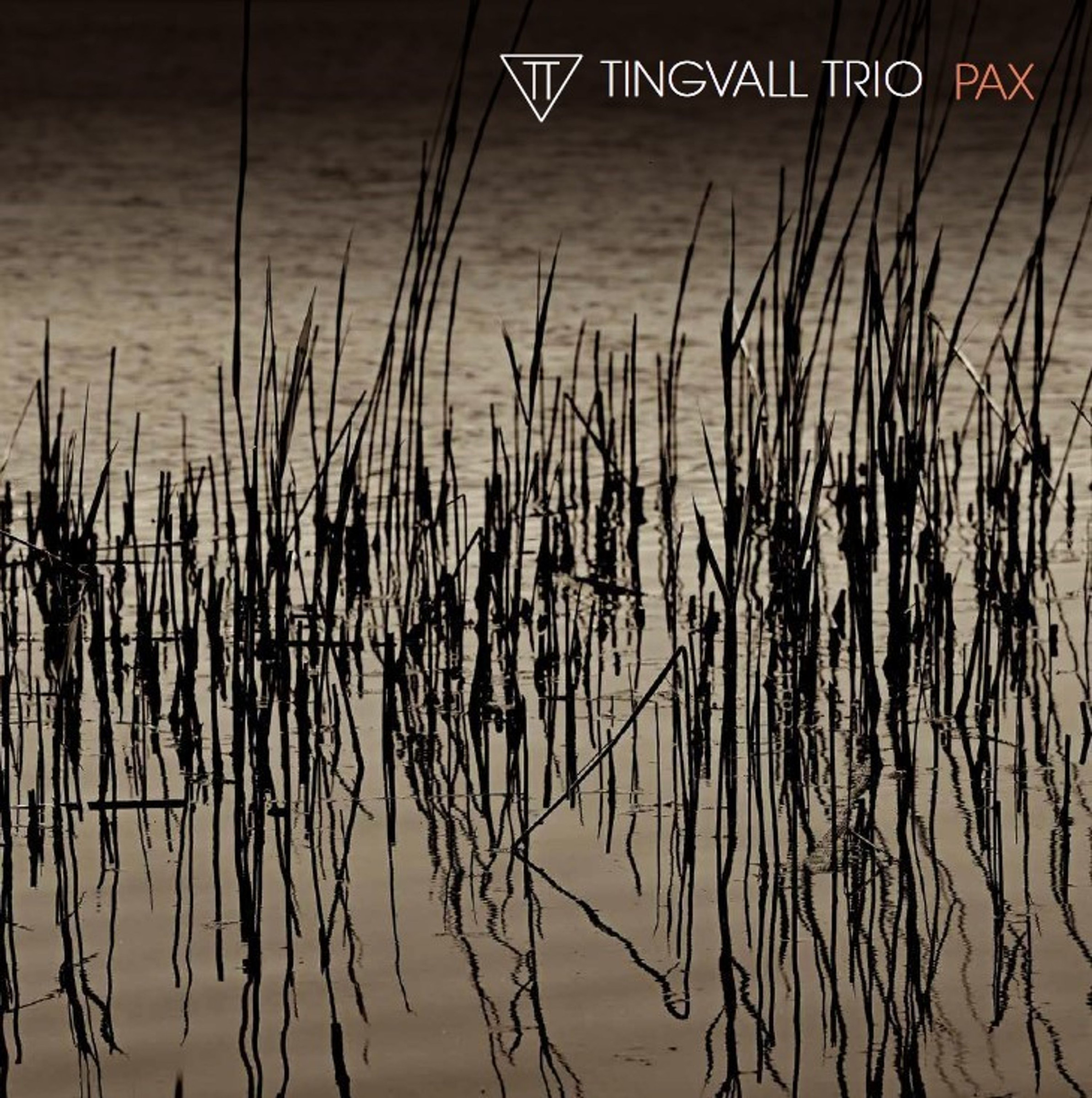 Auditorium Vinyl TINGVALL TRIO Pax 213194 - 1