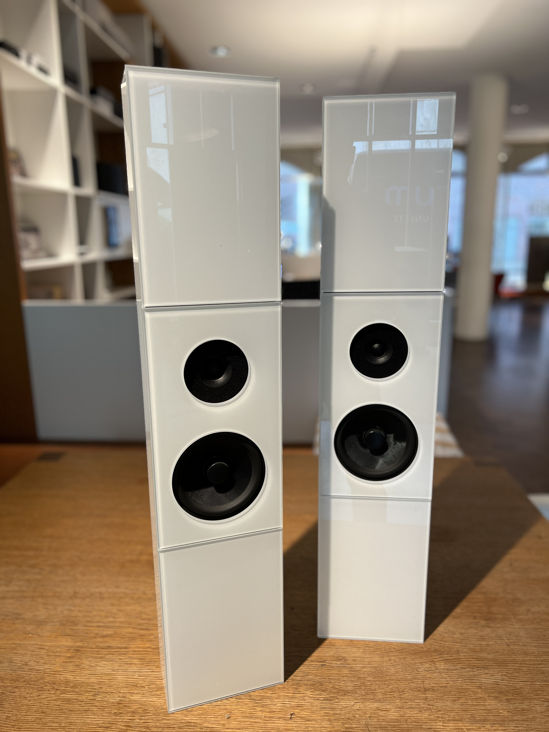 Auditorium audio physic Classic On-Wall Wandlautsprecher mit Mängel 204564 - 1