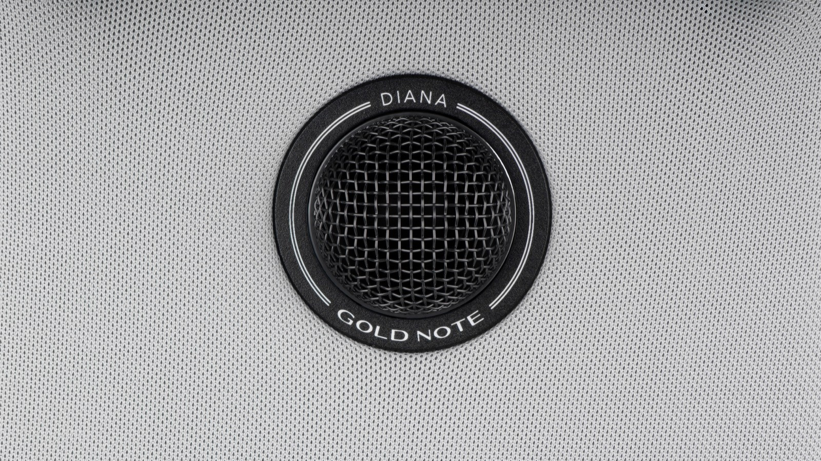 Auditorium Gold Note Diana I 2-Wege Kompaktlautsprecher 218538 - 2