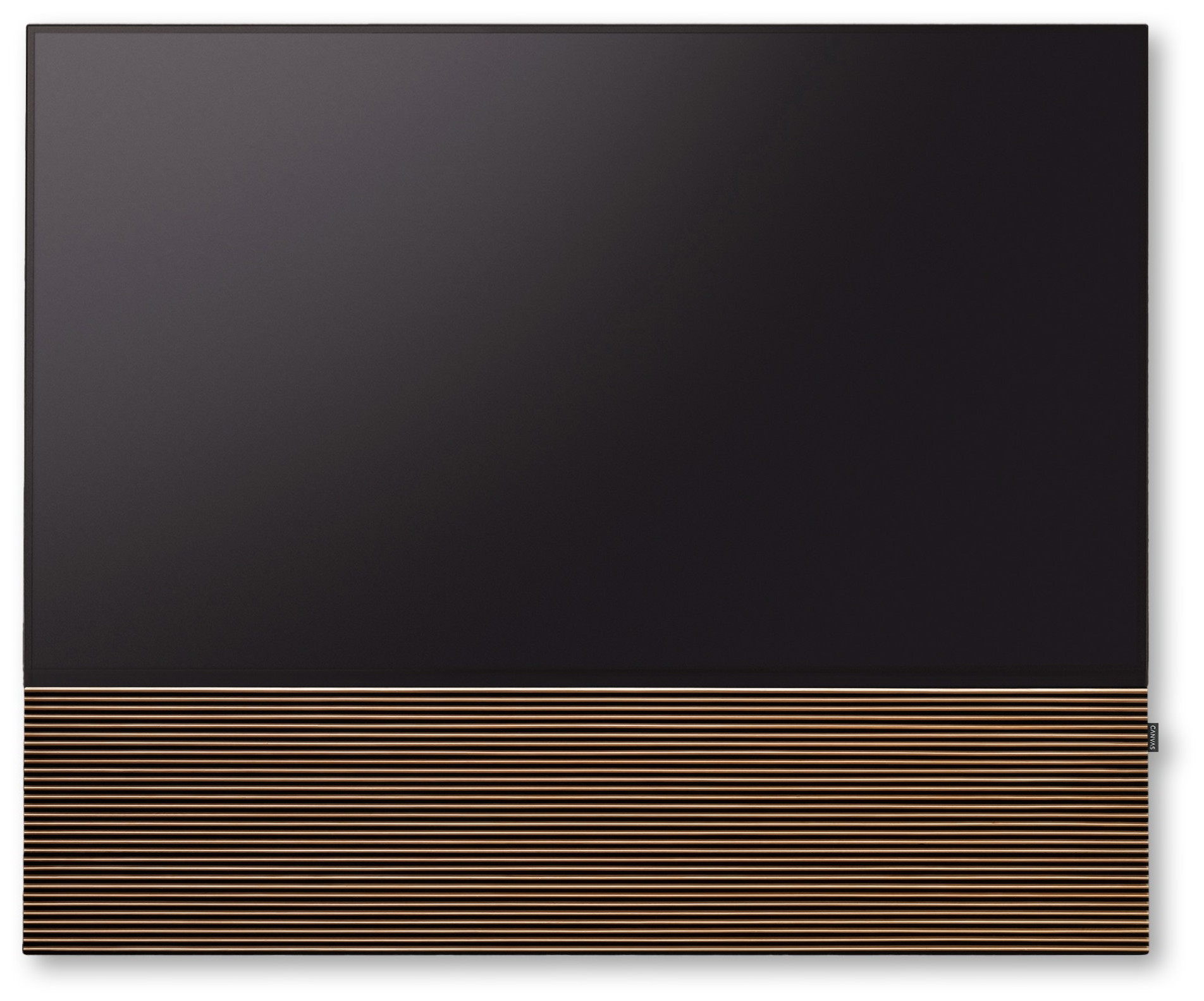 Auditorium Canvas Extra Front 83 Zoll  209881 - 1