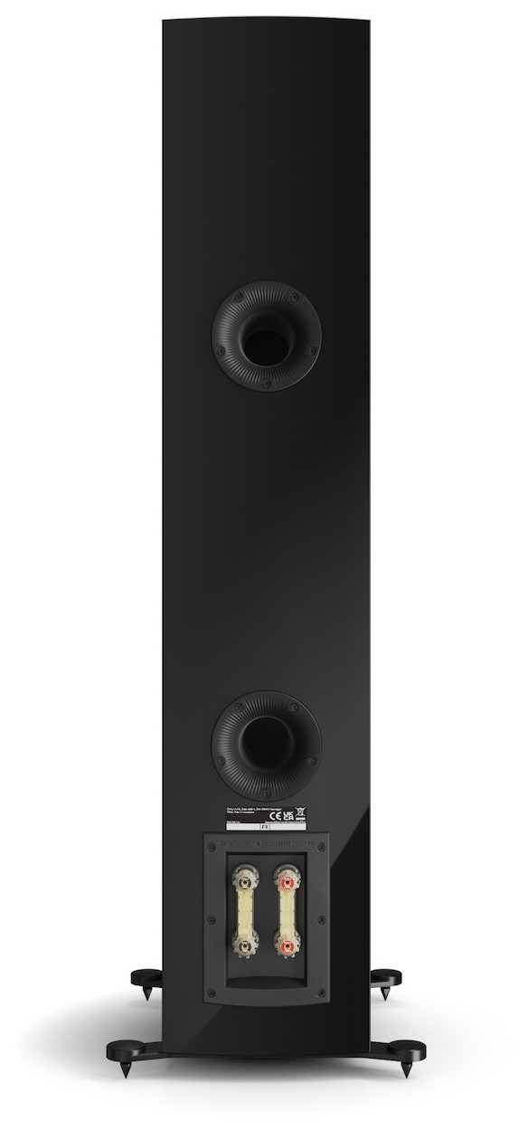 Auditorium Dali Rubikore 6 Standlautsprecher 204826 - 5