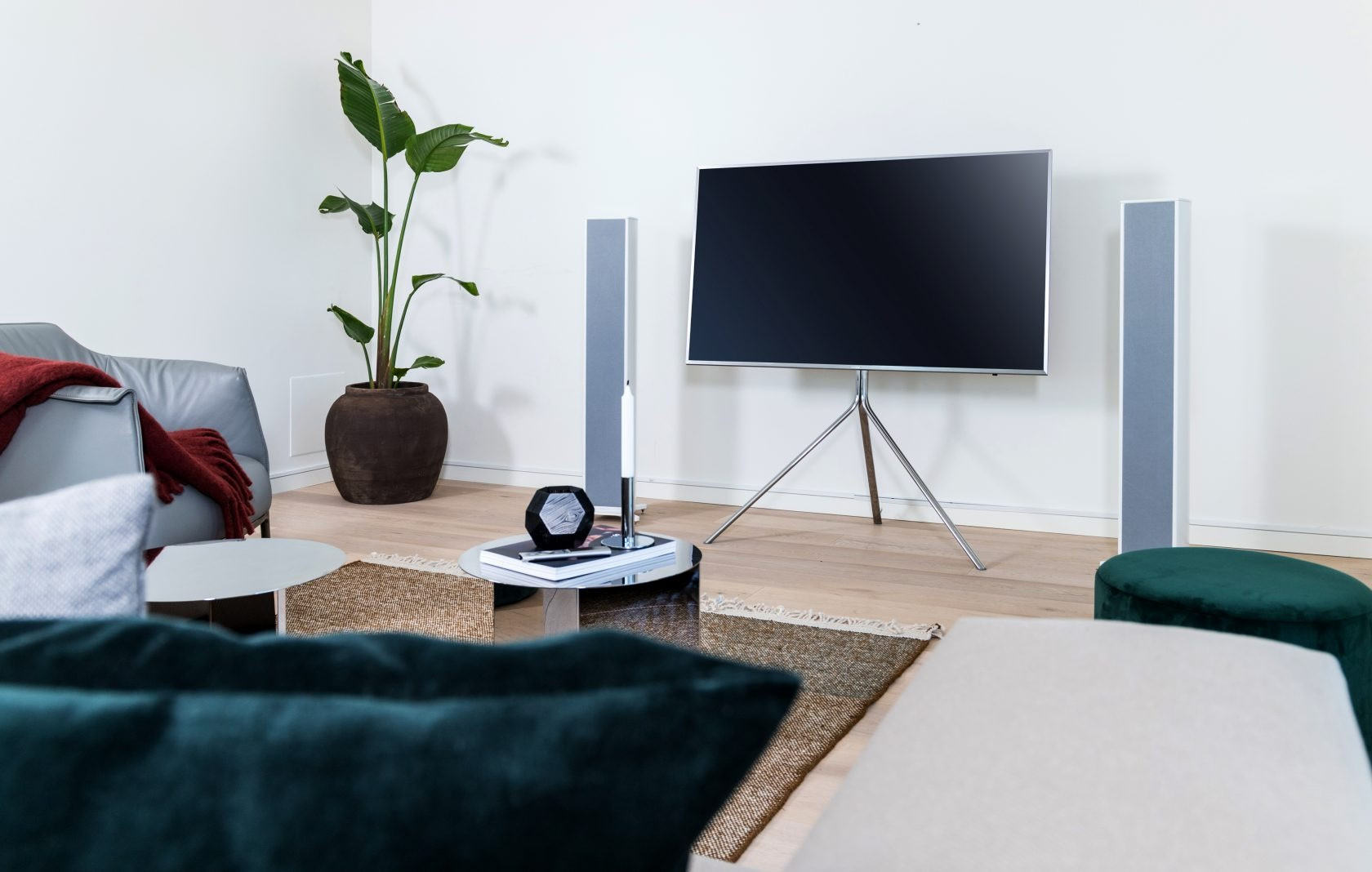 Auditorium Piega Premium 701 wireless Standlautsprecher silber 212656 - 3