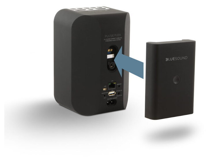 Auditorium BlueSound Pulse Flex 2i und BP100 Streaming-Bundle 295211 - 3