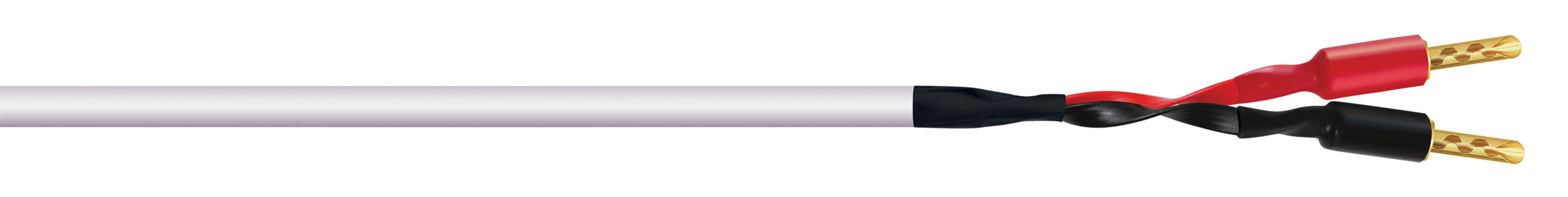 Auditorium Wireworld Cable Stream 10 Lautsprecherkabel 207596 - 1