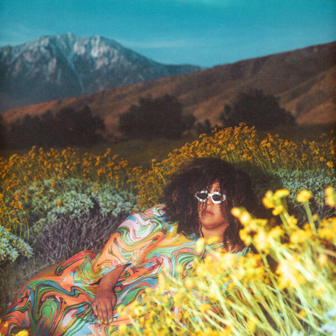 Auditorium Vinyl Brittany Howard What Now 203687 - 1