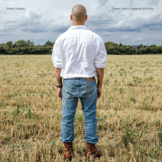 Auditorium Vinyl Binker Golding - Dream like a Dogwood Wild Boy 295796 - 1