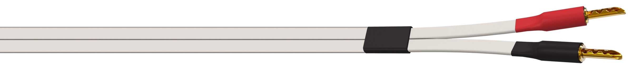Auditorium Wireworld Cable Horizon Lautsprecherkabel 268776 - 1