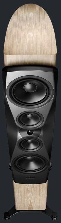 Auditorium Dynaudio Confidence 60  285839 - 3