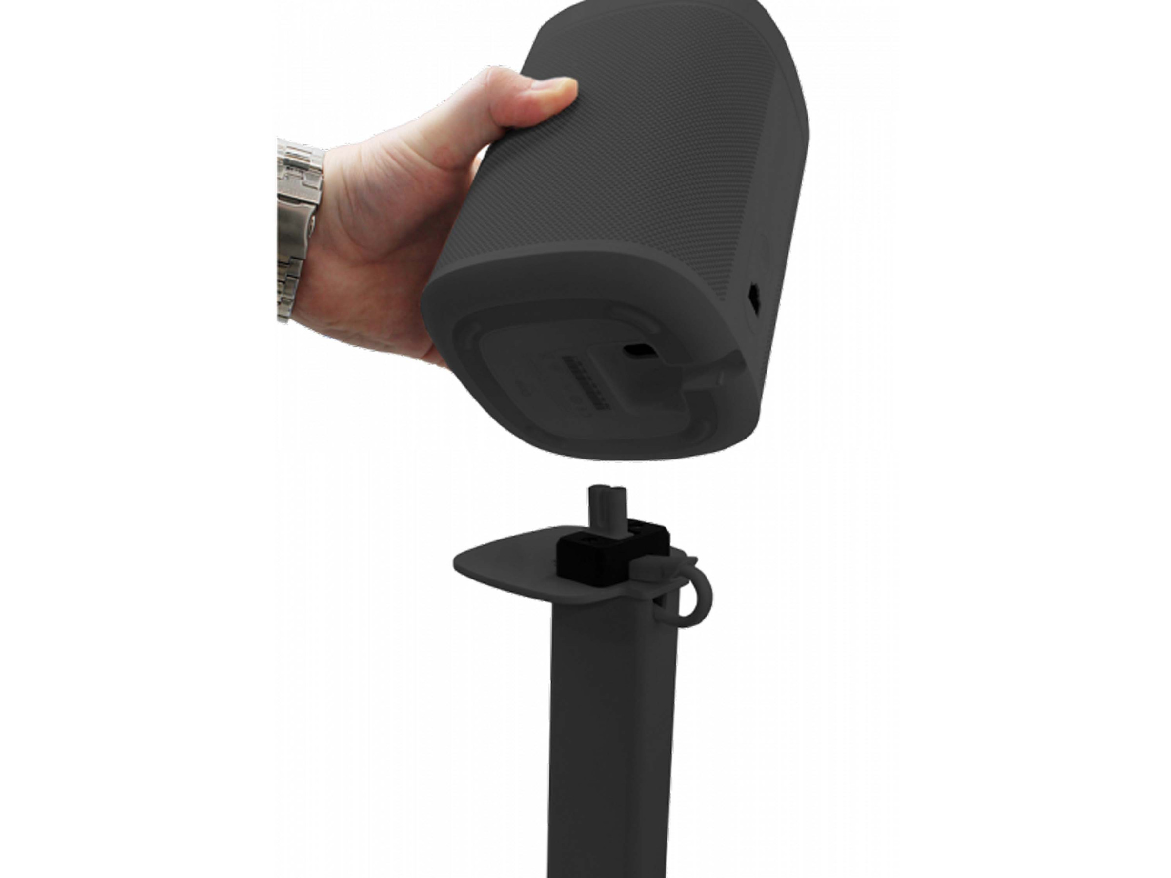 Auditorium Cavus Sonos One Ständer  288506 - 1