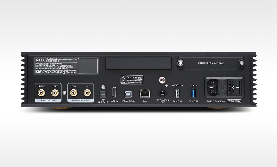 Auditorium Aurender A 1000 - Analog Music Server 215693 - 2