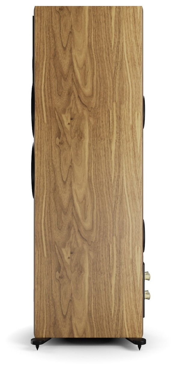 Auditorium Dali Rubikore 6 Standlautsprecher 204829 - 4