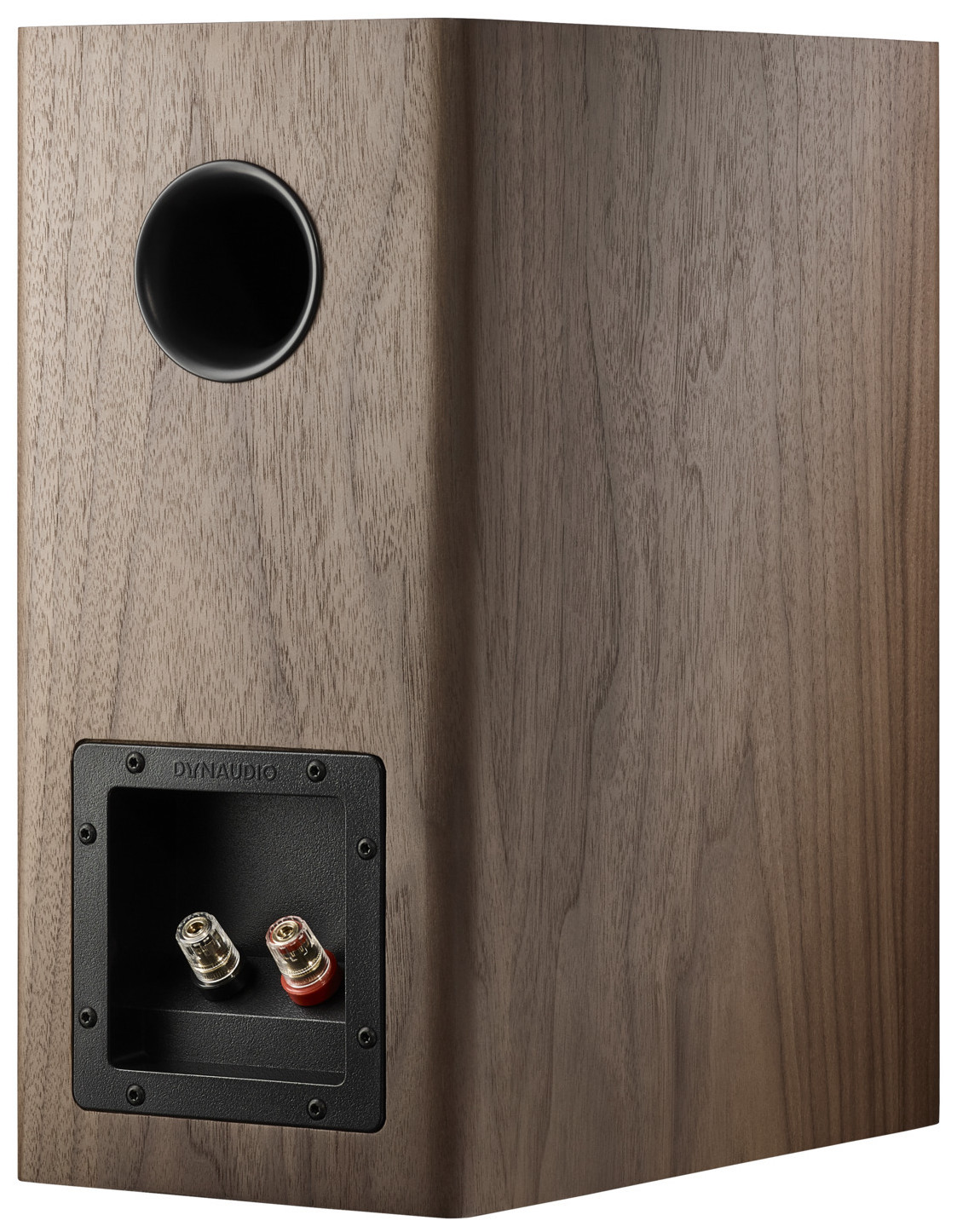 Auditorium Dynaudio Evoke 20  285457 - 5