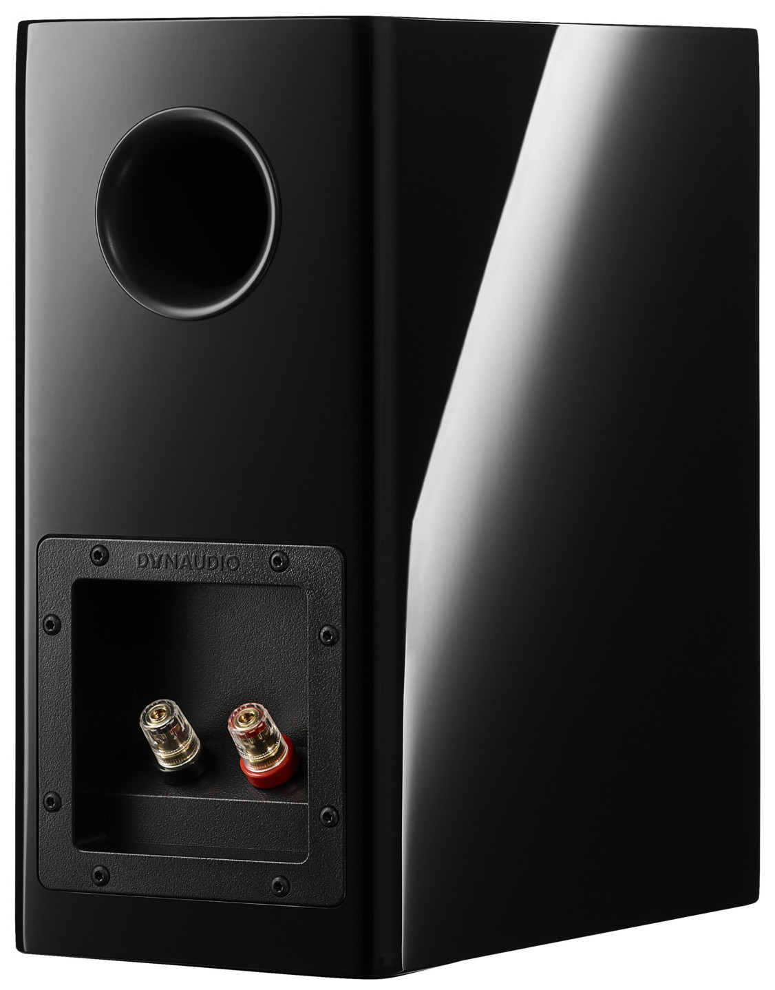 Auditorium Dynaudio Evoke 10  285451 - 5