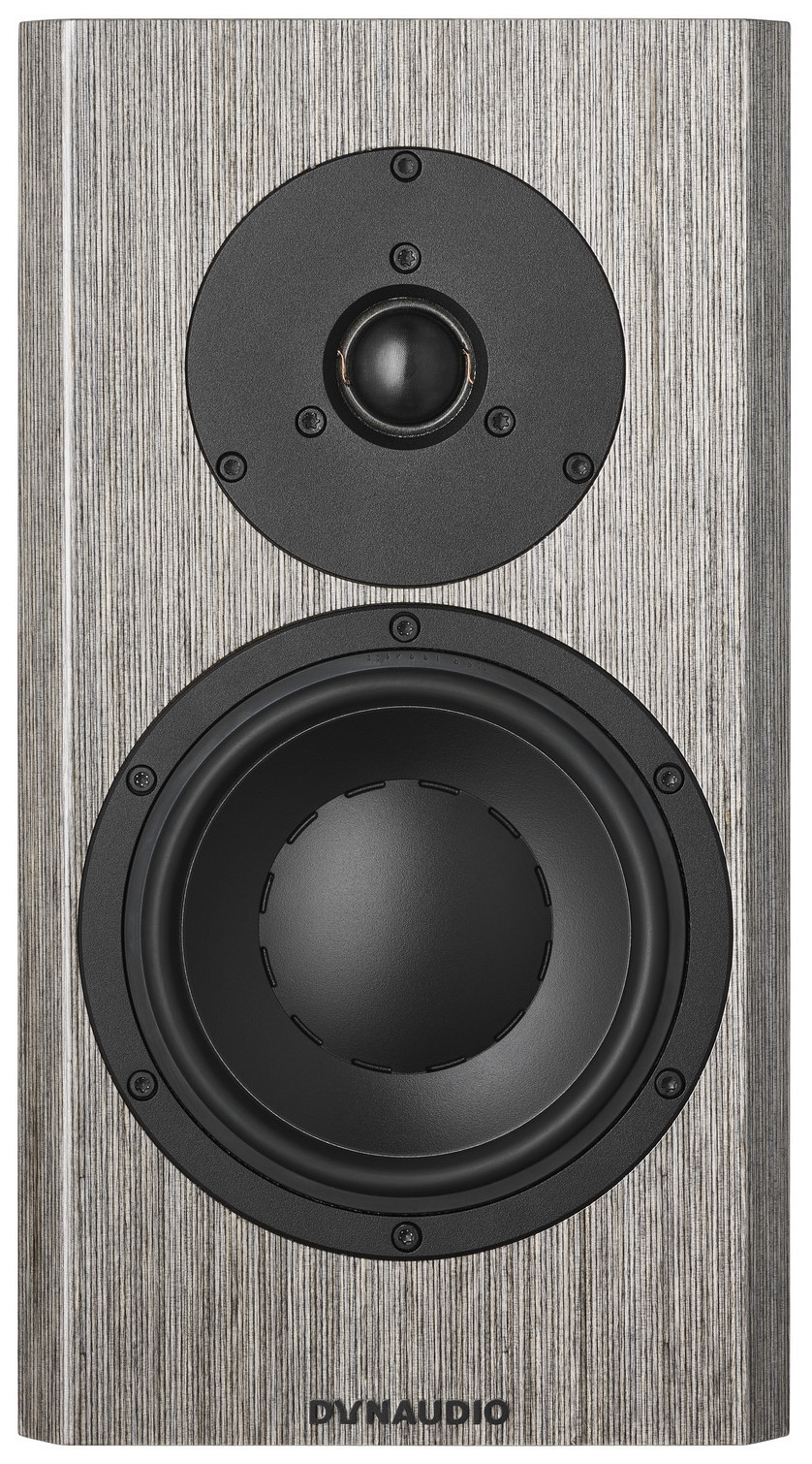 Auditorium Dynaudio Special Forty  283185 - 1