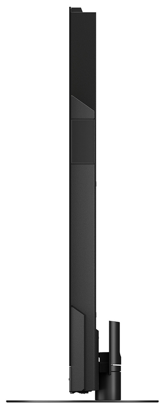 Auditorium Panasonic TV-65Z95BEG OLED 2025 209584 - 5