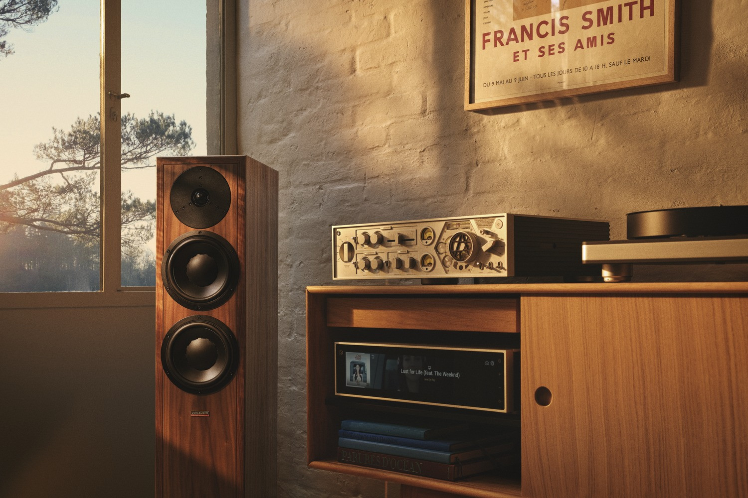 Auditorium Dynaudio Contour Legacy Standlautsprecher 204692 - 8