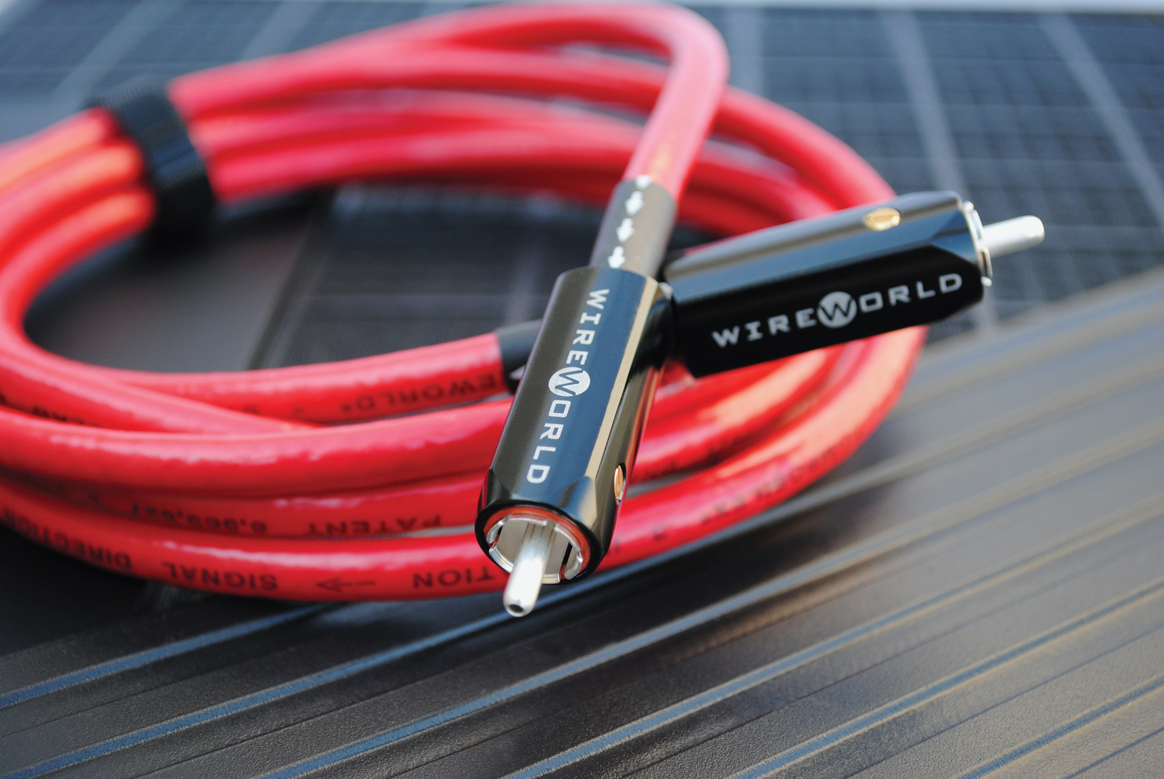 Auditorium Wireworld Cable Starlight 10 Digital Audio RCA 75 Ohm 209060 - 2
