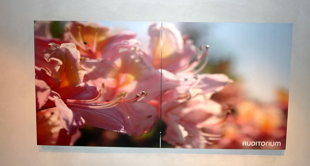 Auditorium Future Automation Picture Split 60 Zoll Geteilter Bilderlift 245157 - 2