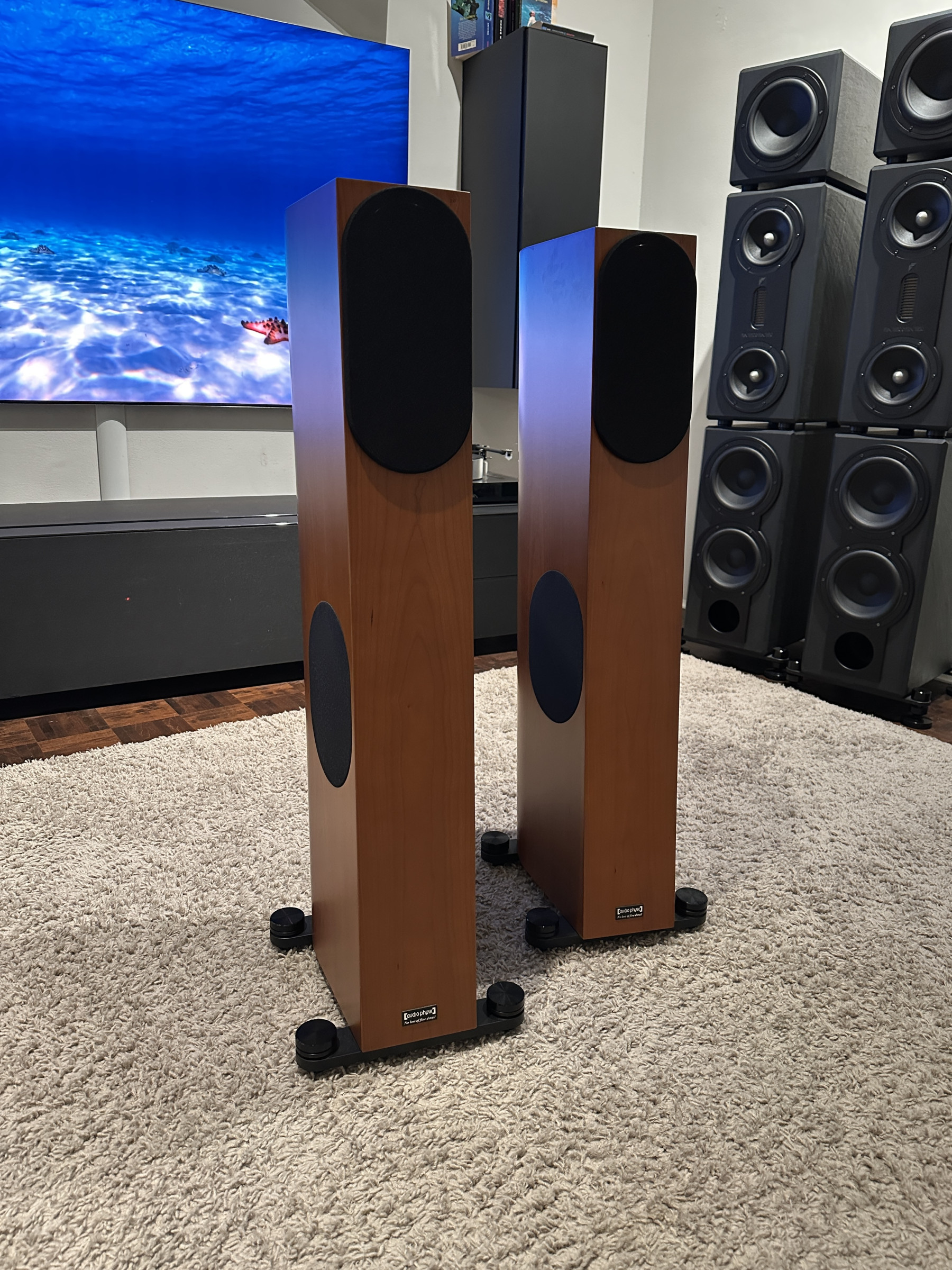 Auditorium audio physic Tempo Plus Standlautsprecher 214072 - 1