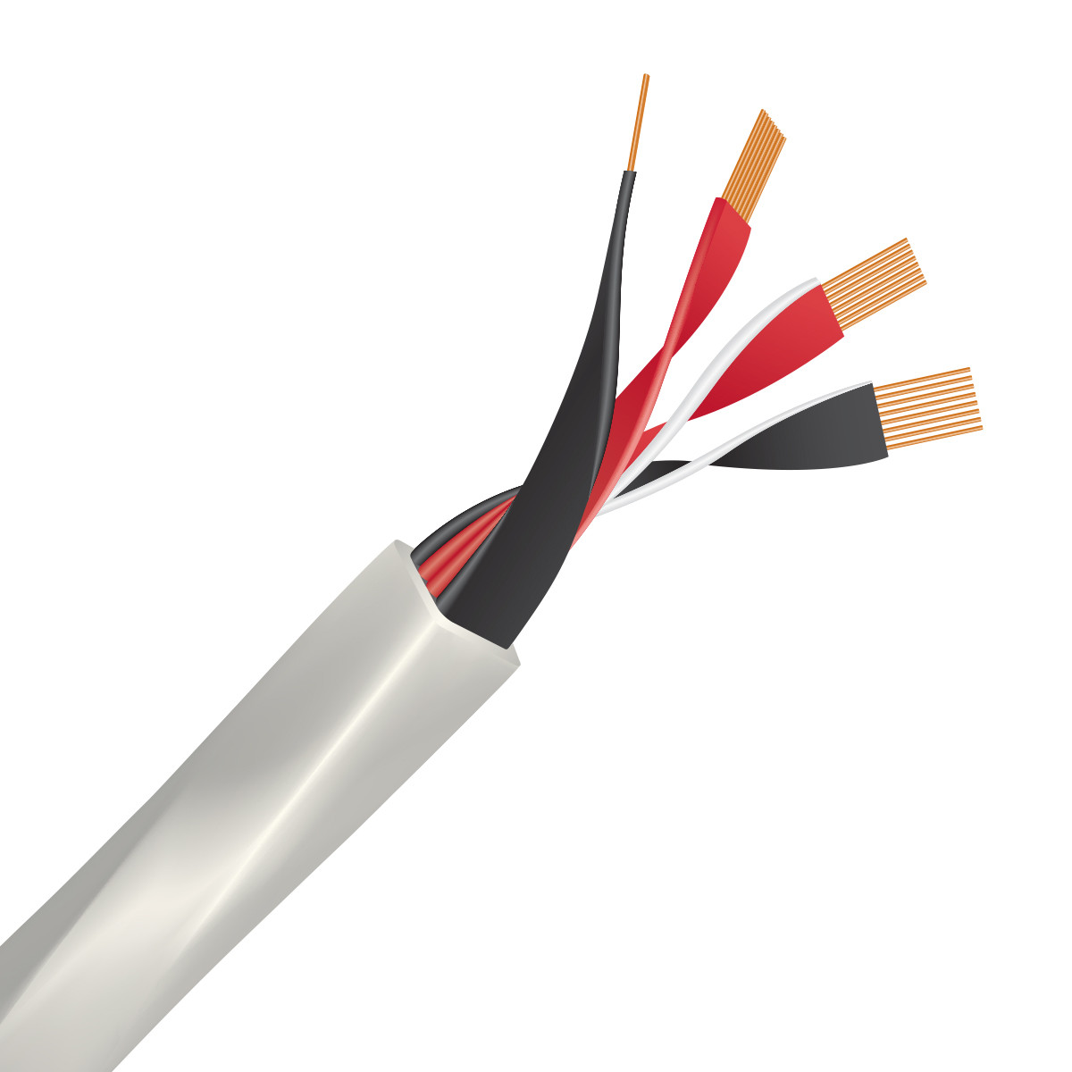 Auditorium Wireworld Cable Luna 10 Lautsprecherkabel 207590 - 5