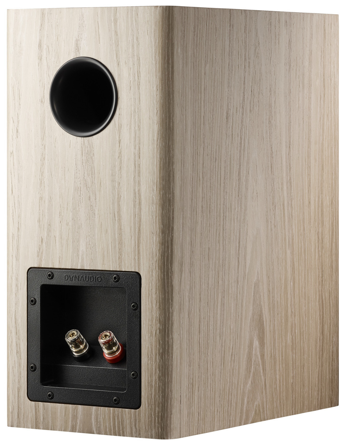 Auditorium Dynaudio Evoke 20  285458 - 5