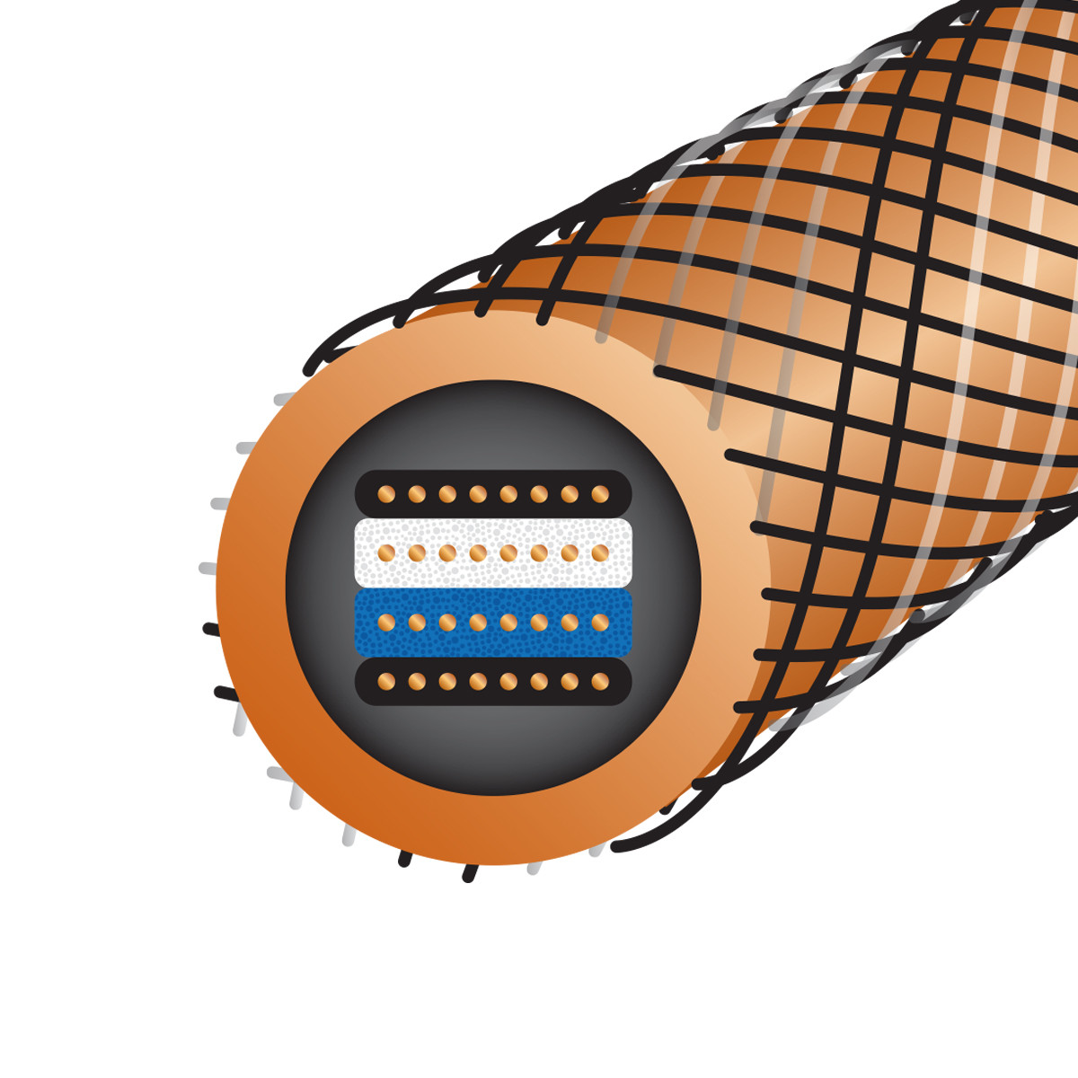 Auditorium Wireworld Cable Eclipse 10 Interconnect RCA 208858 - 3 Auditorium Wireworld Cable Eclipse 10 Interconnect RCA 208858 - 3