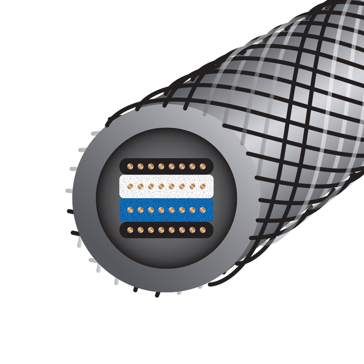 Auditorium Wireworld Cable Silver Eclipse 10 Interconnect XLR 208870 - 2