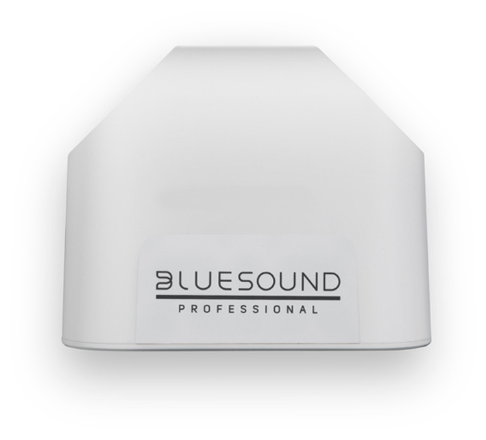 Auditorium Bluesound Professional BSP 125 Netzwerk Lautsprecher 298206 - 3