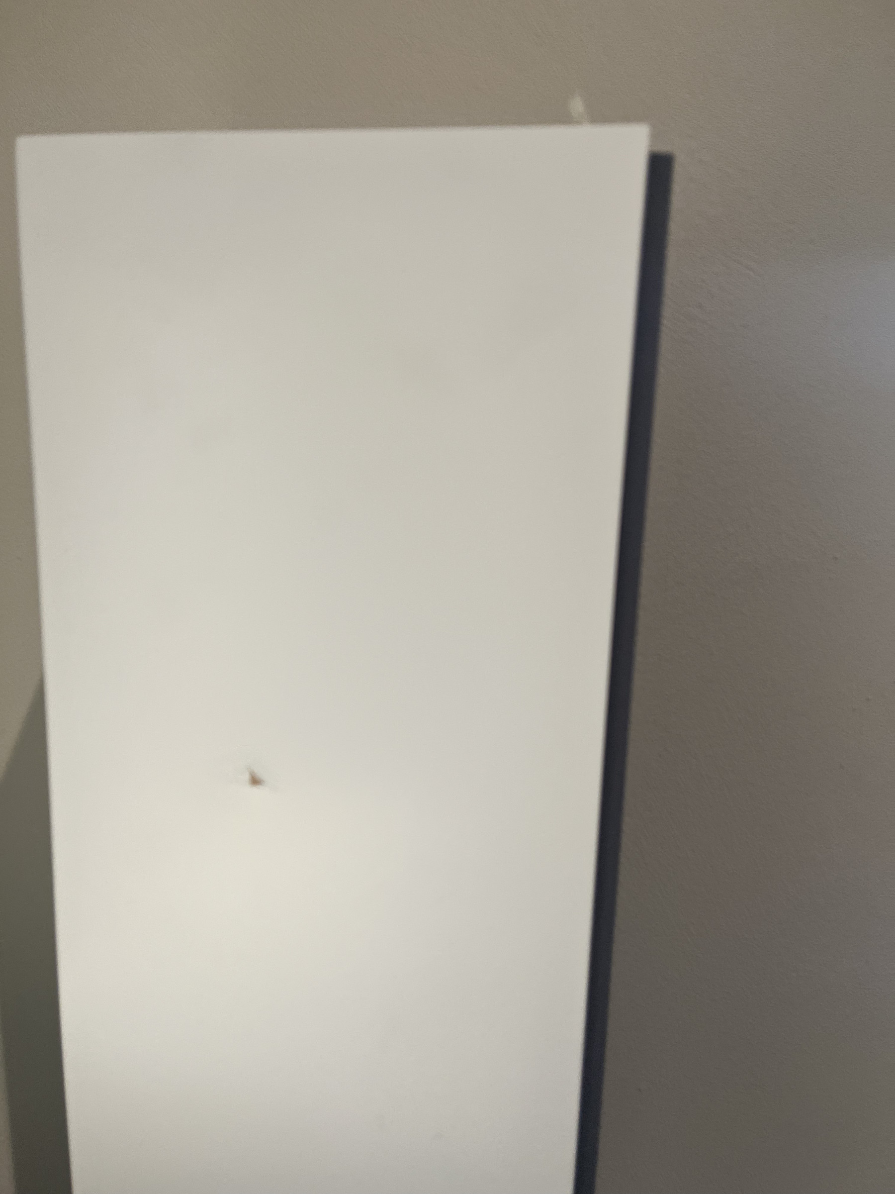 Auditorium Bowers & Wilkins 704 S2  Standlautsprecher weiß matt 208979 - 3