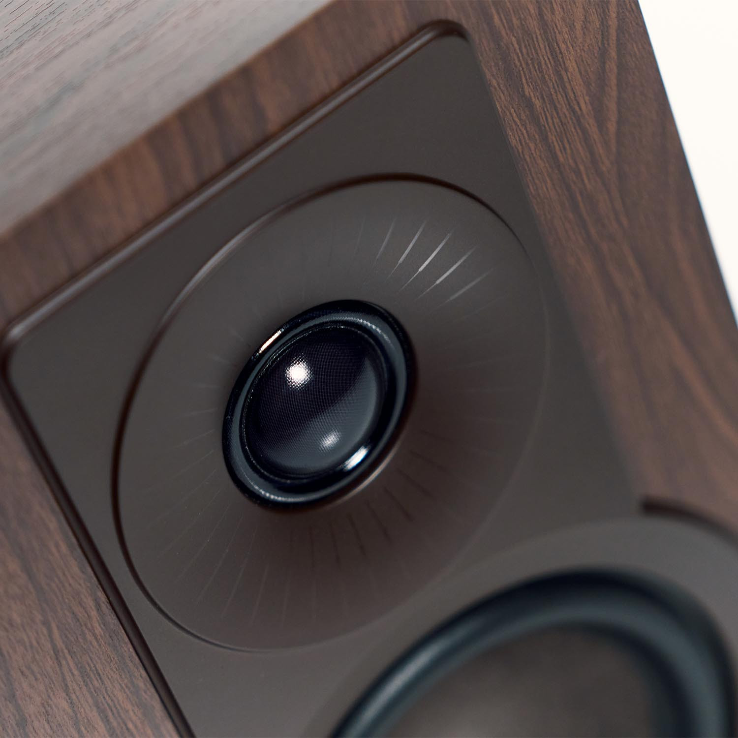 Auditorium Dali Kupid Kompaktlautsprecher  213189 - 5