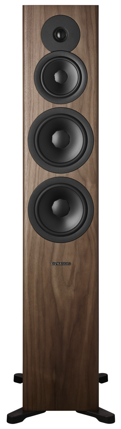 Auditorium Dynaudio Evoke 50  285466 - 1