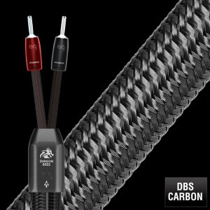 Auditorium Audioquest Dragon Bass  286028 - 1