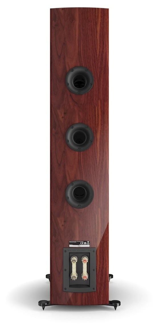 Auditorium Dali Rubikore 8 Standlautsprecher 204825 - 5