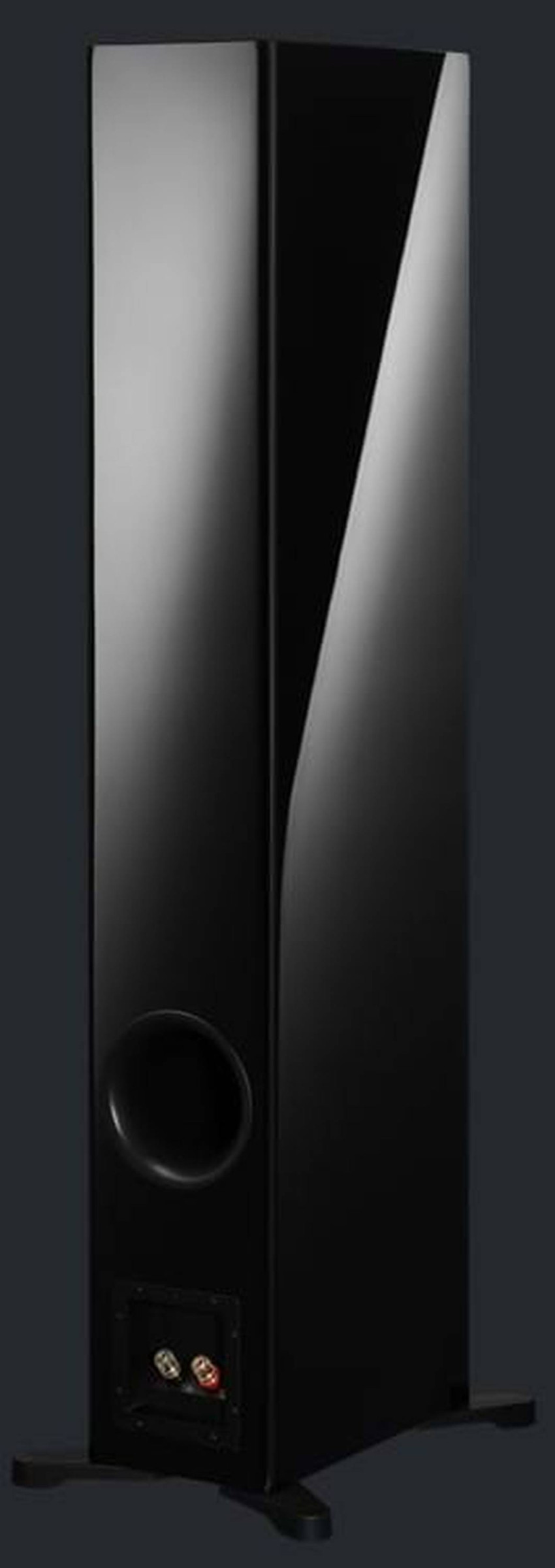 Auditorium Dynaudio Evoke 50  285464 - 5