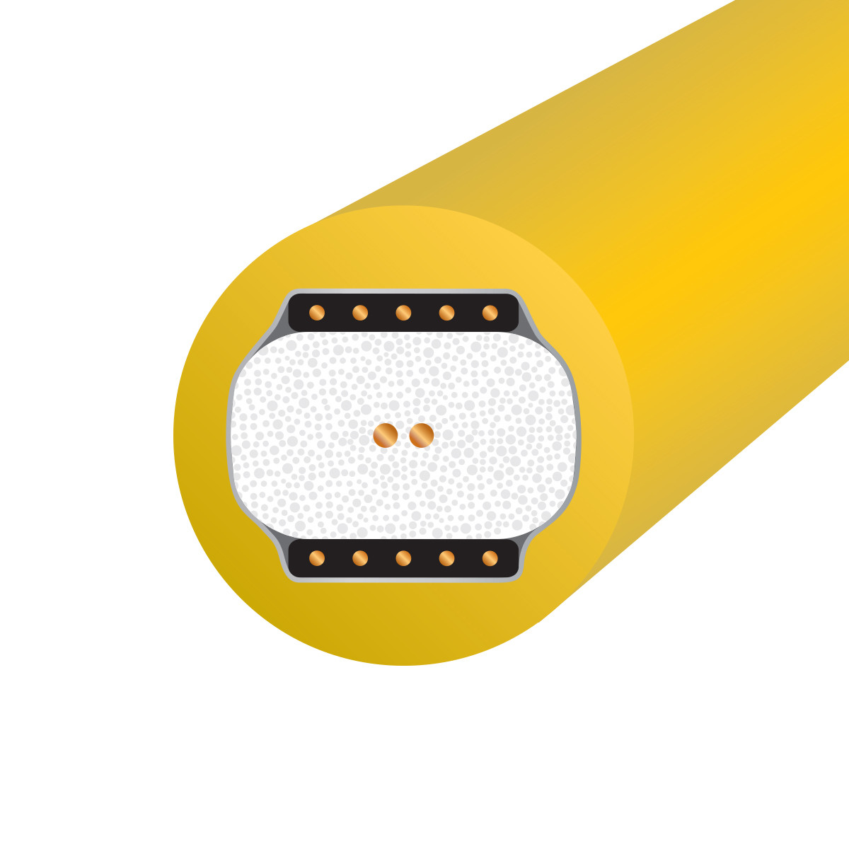 Auditorium Wireworld Cable Chroma 10 Digital Audio RCA 75 Ohm 209045 - 2