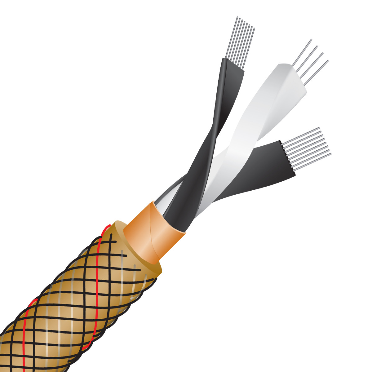 Auditorium Wireworld Cable Gold Starlight 10 Digital Audio RCA 75 Ohm 209080 - 3