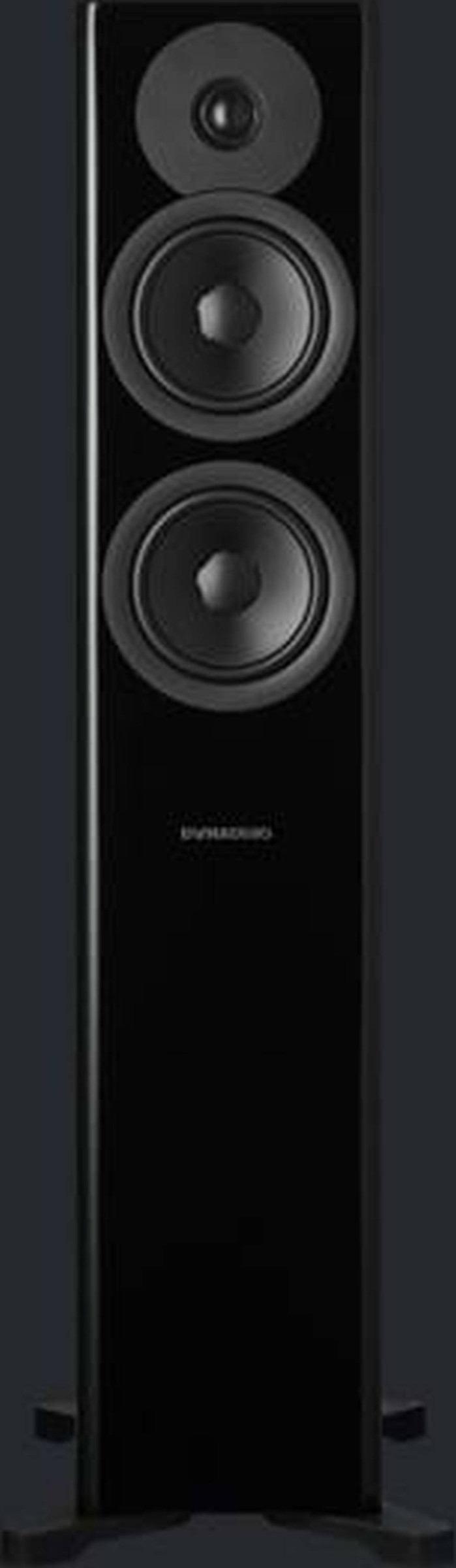 Auditorium Dynaudio Evoke 30  291434 - 1