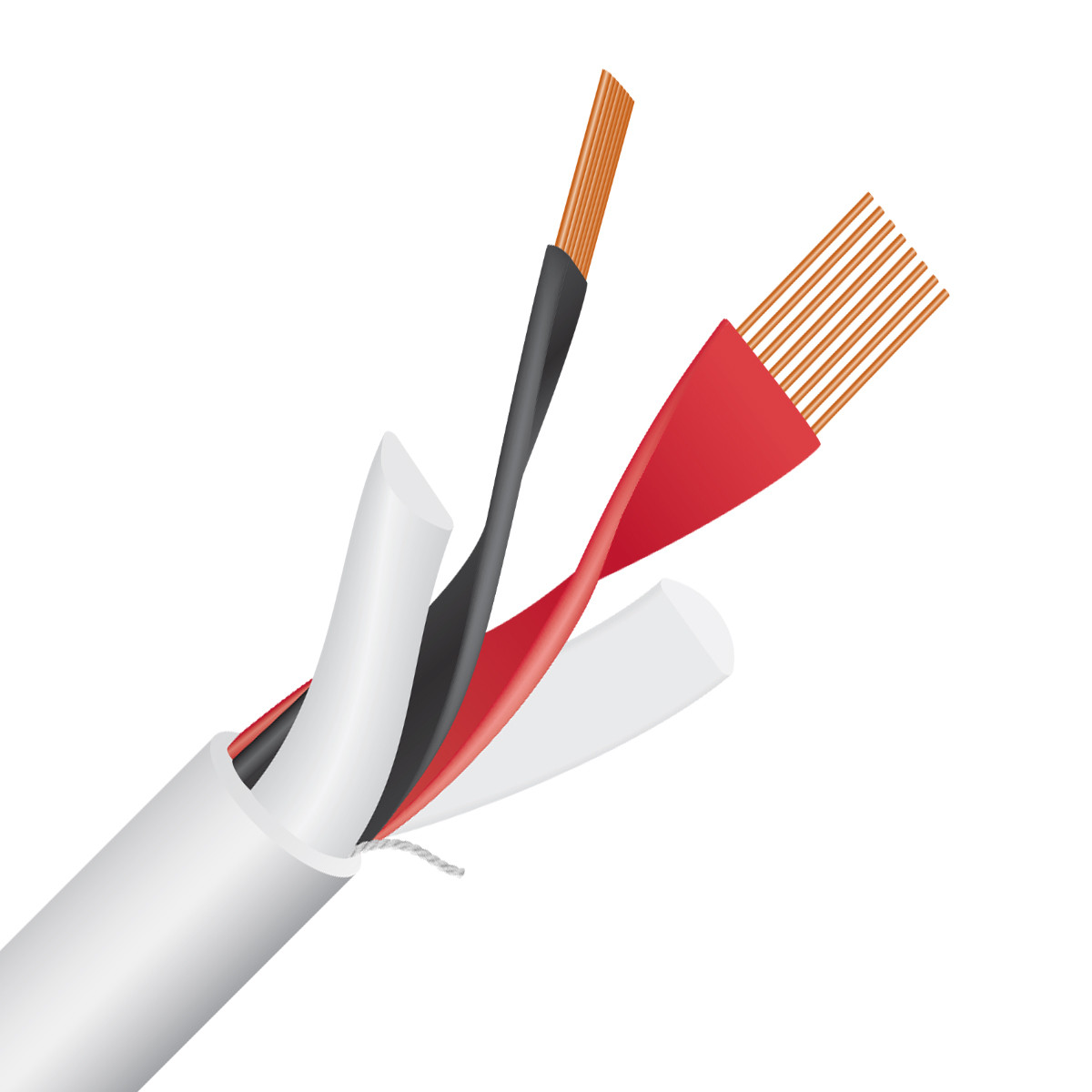 Auditorium Wireworld Cable Stream 10 Lautsprecherkabel 207596 - 4