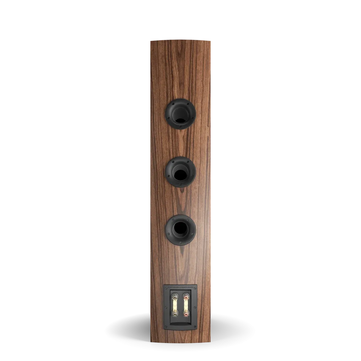 Auditorium Dali Rubicon 8 Standlautsprecher 270243 - 2